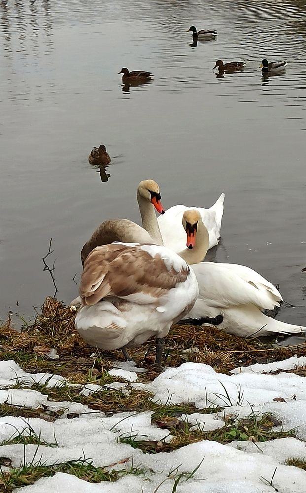 Photograph by Людмила Щуцкая