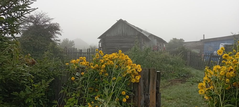 Photograph by Анастасия Кичигина