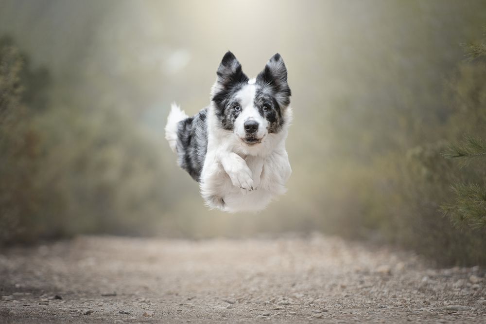 Photograph by Paula Casado Gutierrez