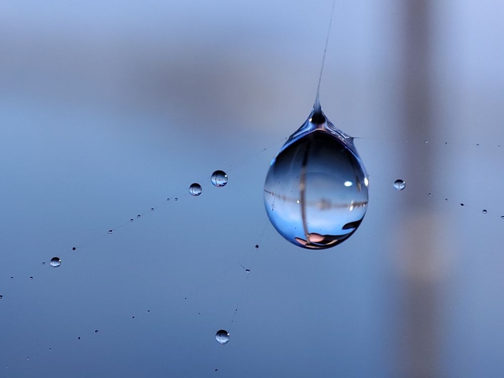water drop