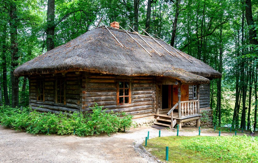 Хижина в лесу