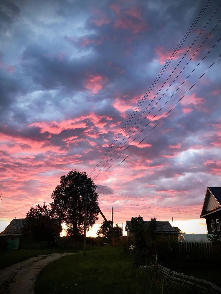 Фотография автора Светлана Терехова