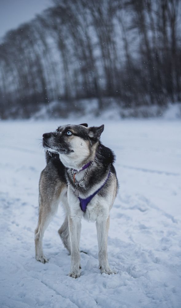 Photograph by Алина Плотникова