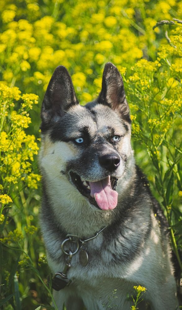 Photograph by Алина Плотникова