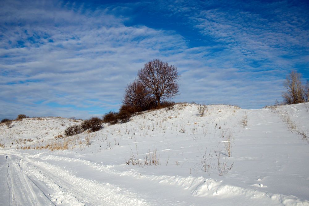 Photograph by Igor Kochkin