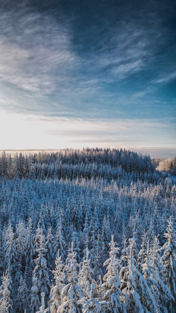 Photograph by Kristina Zolotova