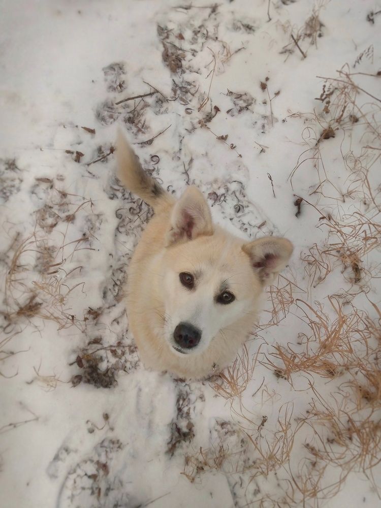 Photograph by Алина