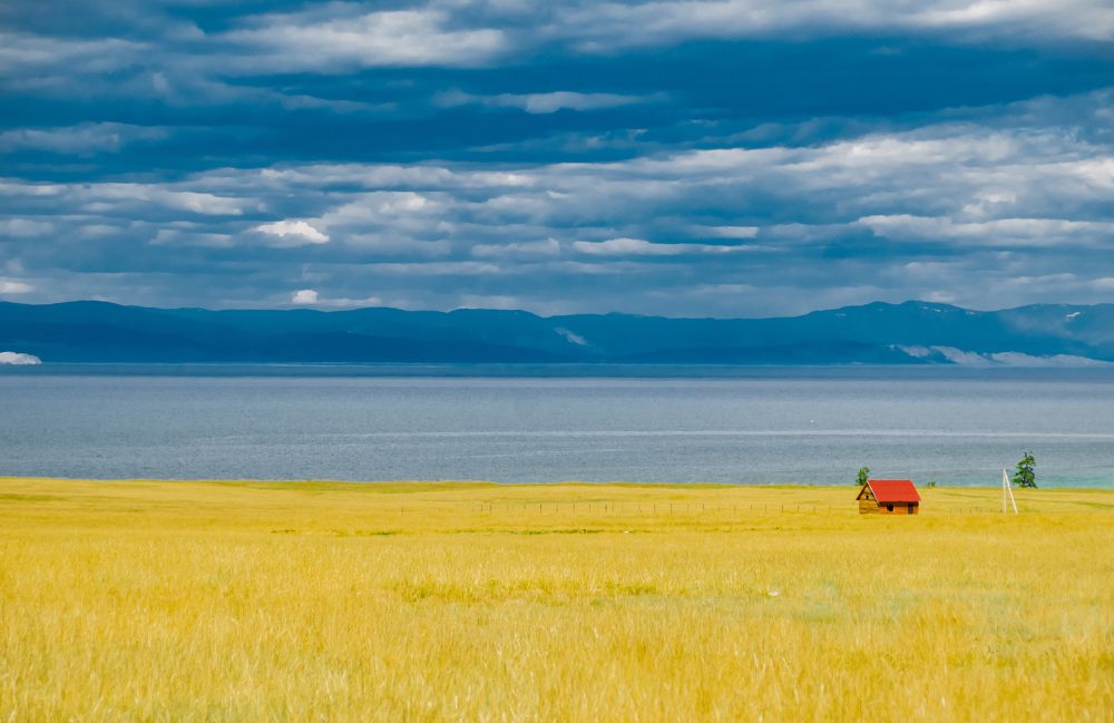 Photograph by Светлана