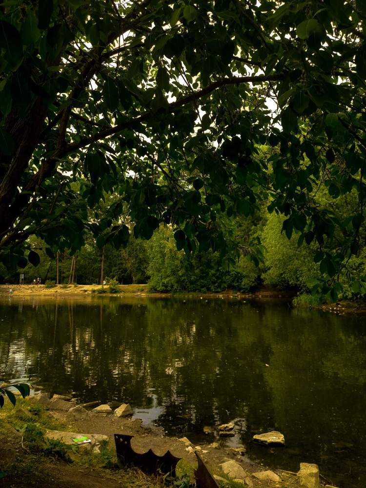 Photograph by Ксения