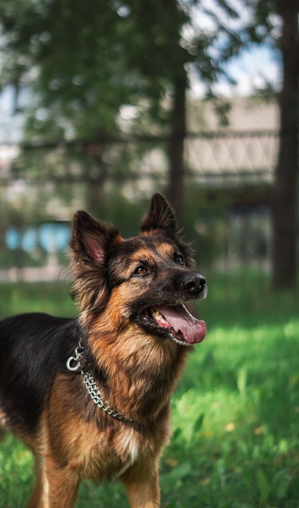 Photograph by Алина Плотникова