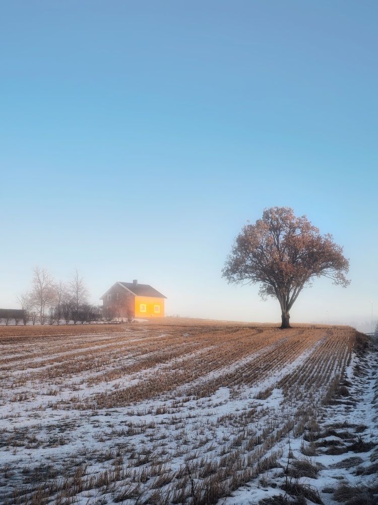 Фотография автора Alina Filimonova