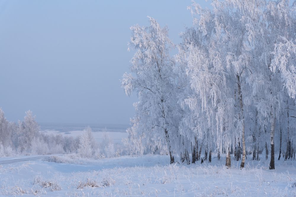 Photograph by Svetlana Golovacheva
