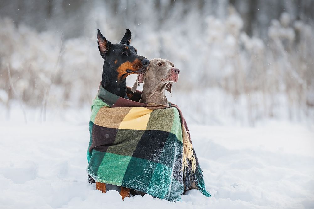 Photograph by Шитиков Владимир