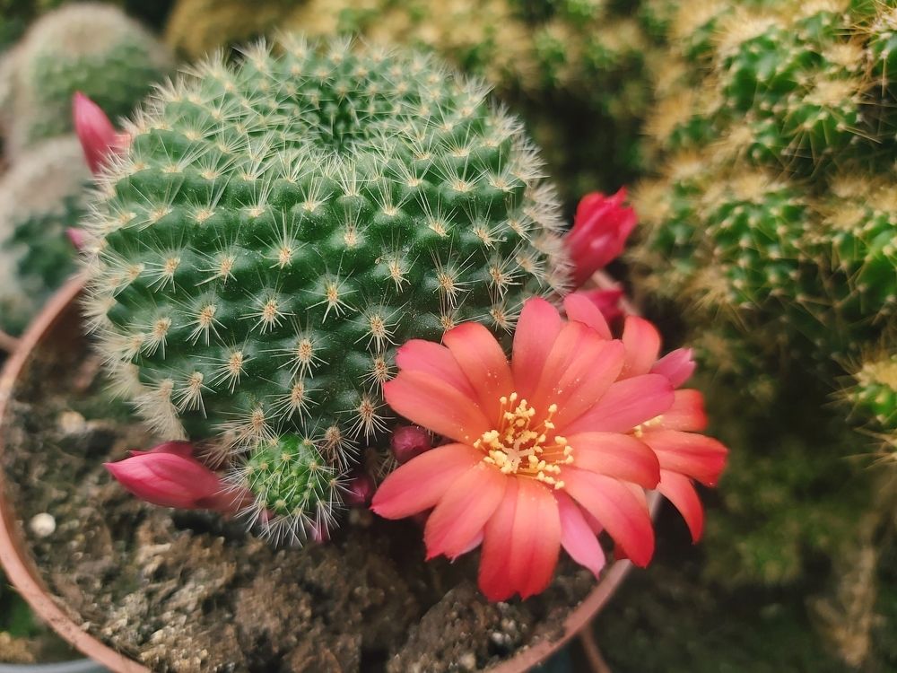 Photograph by Олег Лебедев