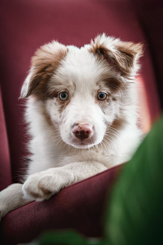 Фотография автора Вострецов Иван