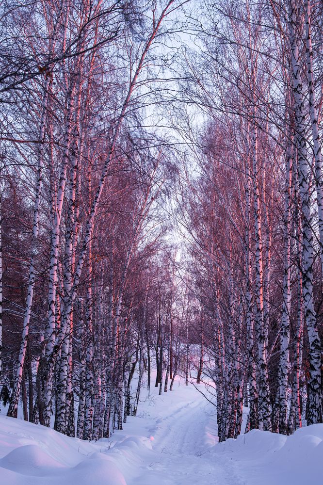 Photograph by Наталья Максимова