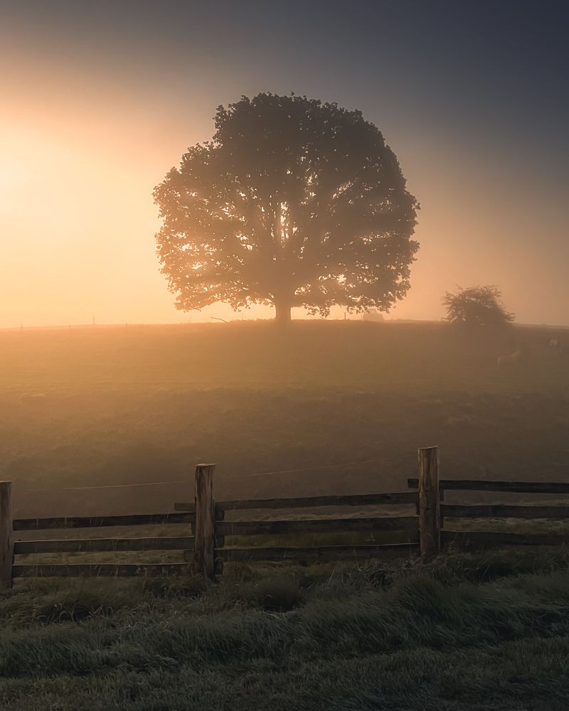 Фотография автора Peter Dužek