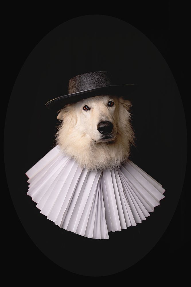 Photograph by Екатерина Киреева