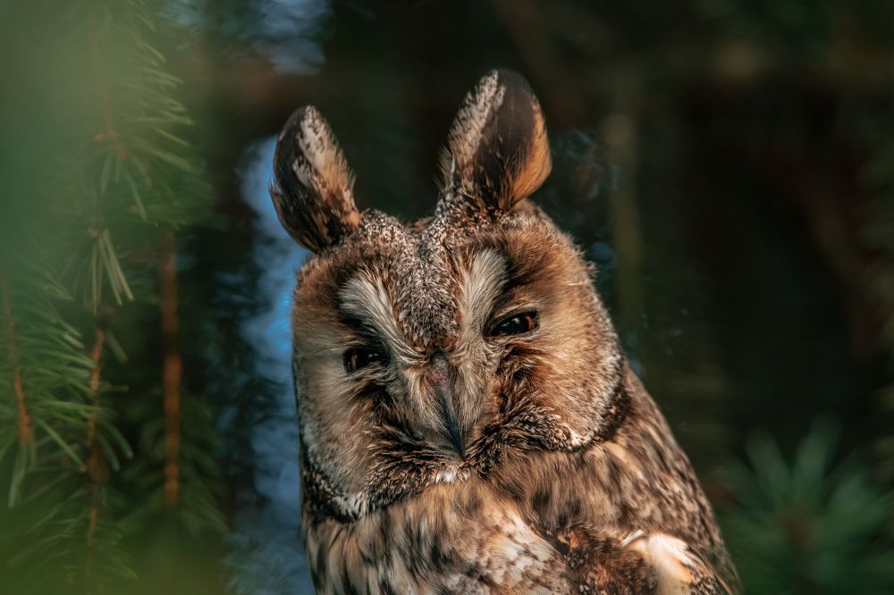 Я наблюдаю за вами.