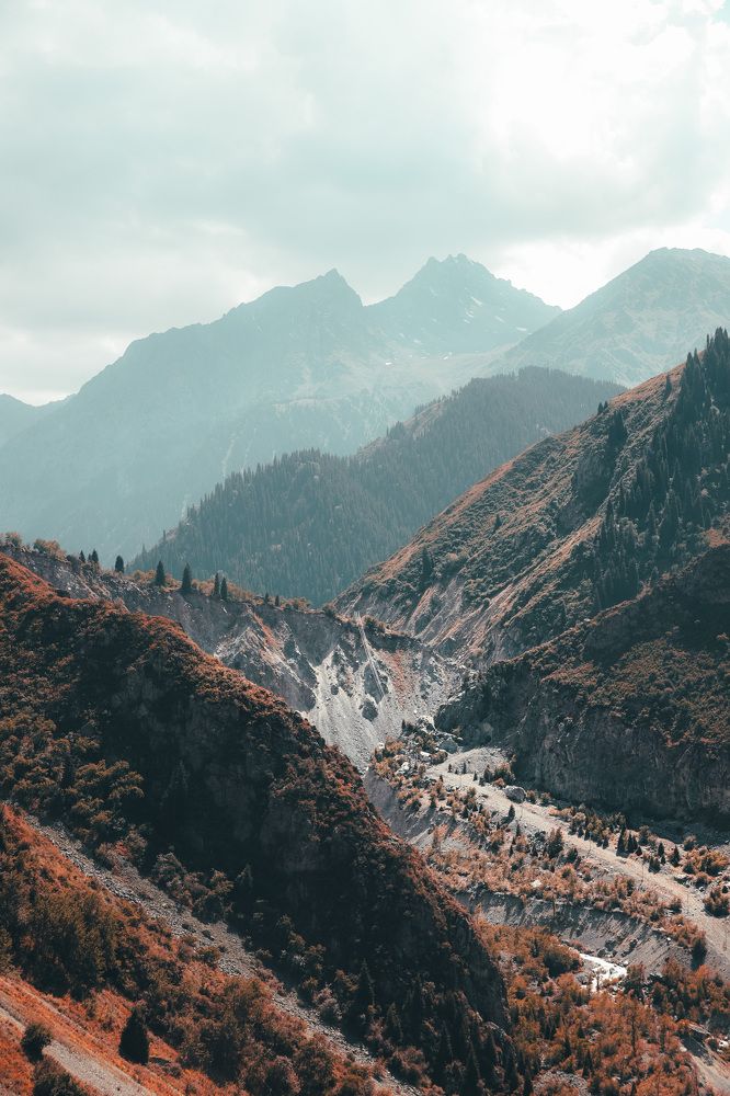 Photograph by Victoria Taperova