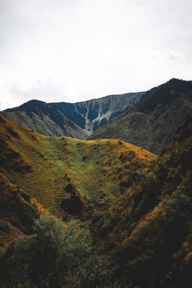 Photograph by Victoria Taperova