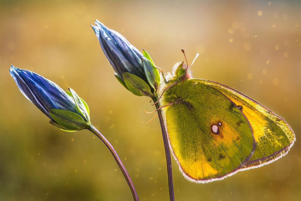 Photograph by Yasir Mehmood