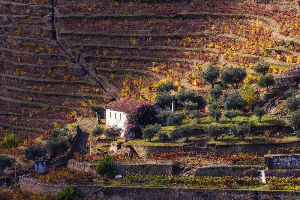 Photograph by Валерия Трейтяк