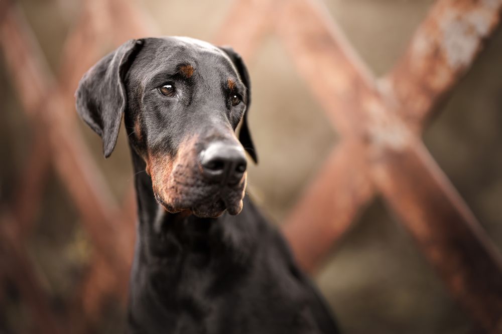 Photograph by Leticia Hernandez