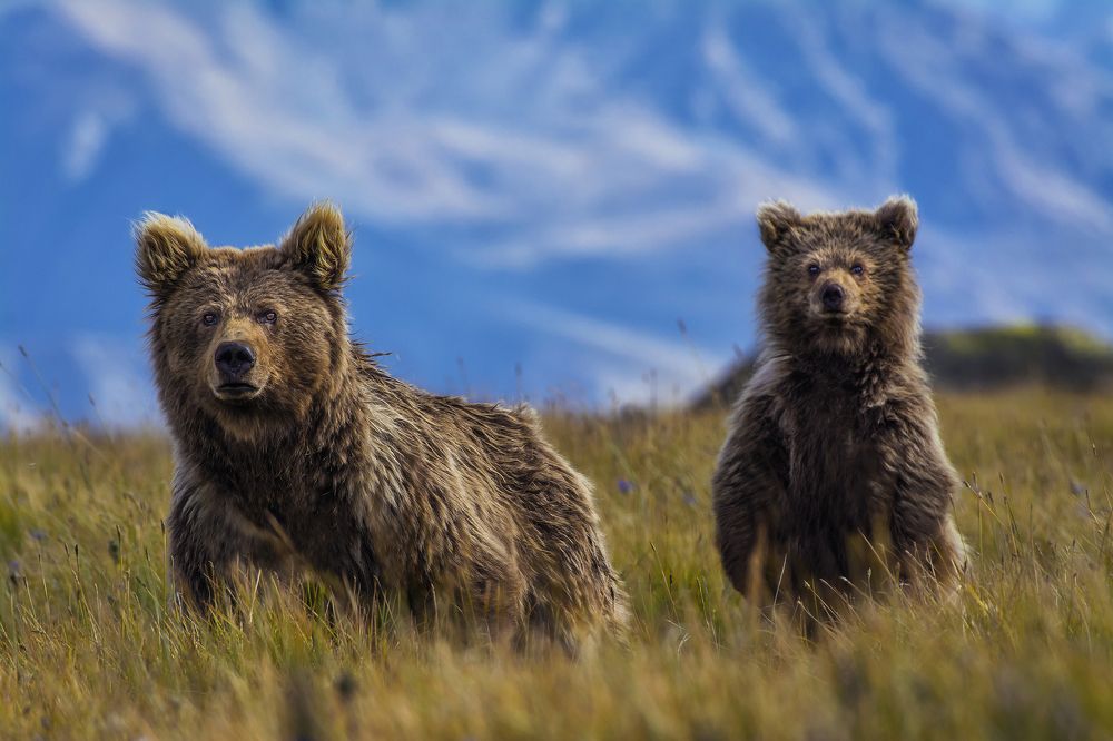 Photograph by Yasir Mehmood