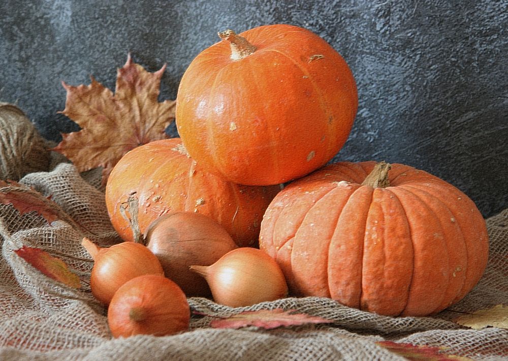 Photograph by Алена Ходатович