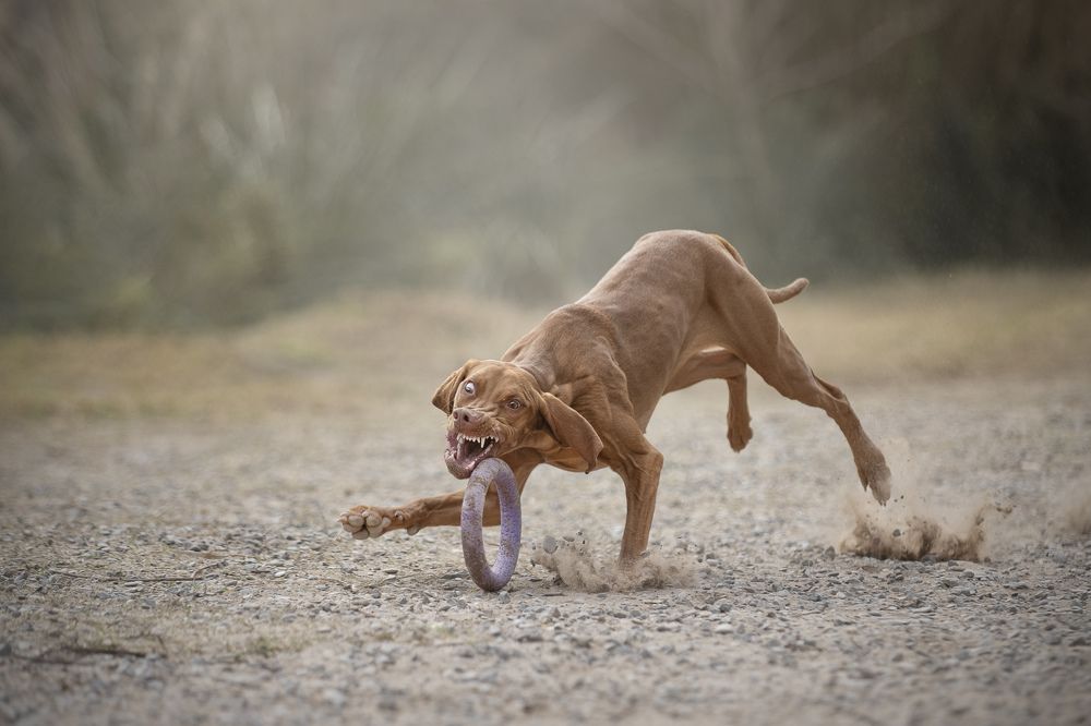 Photograph by Paula Casado Gutierrez