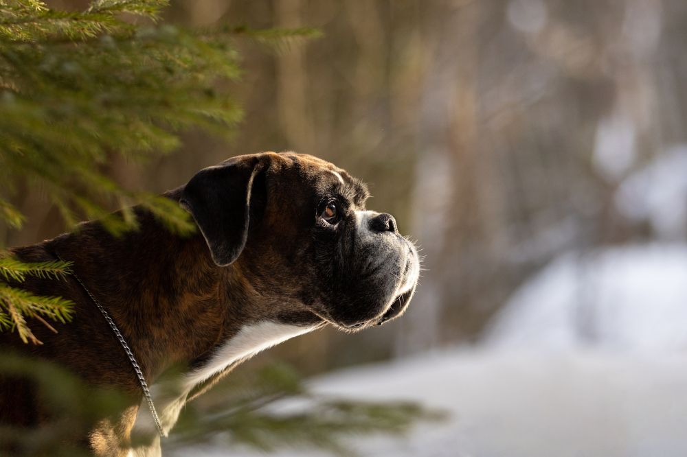 Photograph by Петракова Ольга