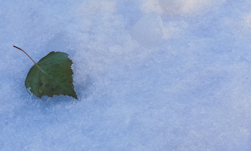 Фотография автора Валерия