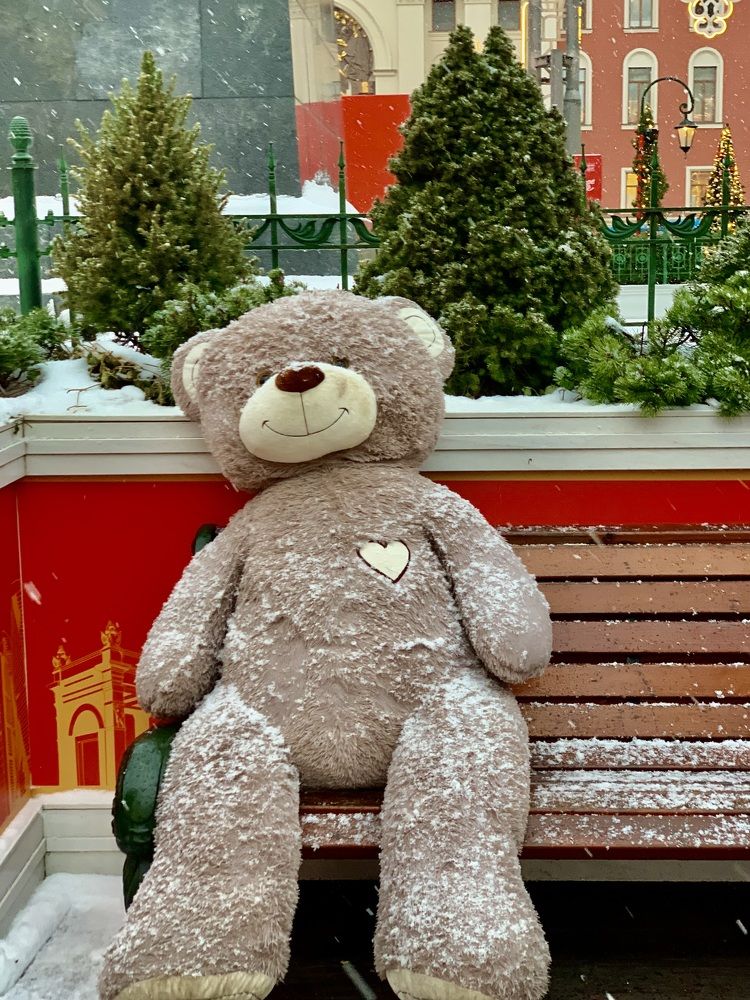 Медвежье настроение