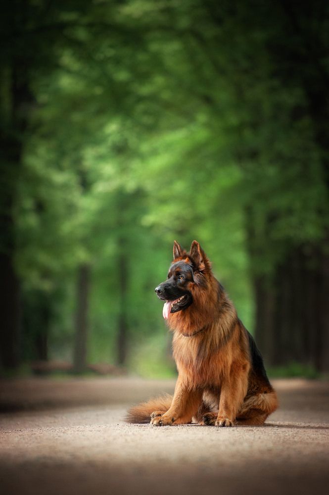 Photograph by Lesnoe Photo