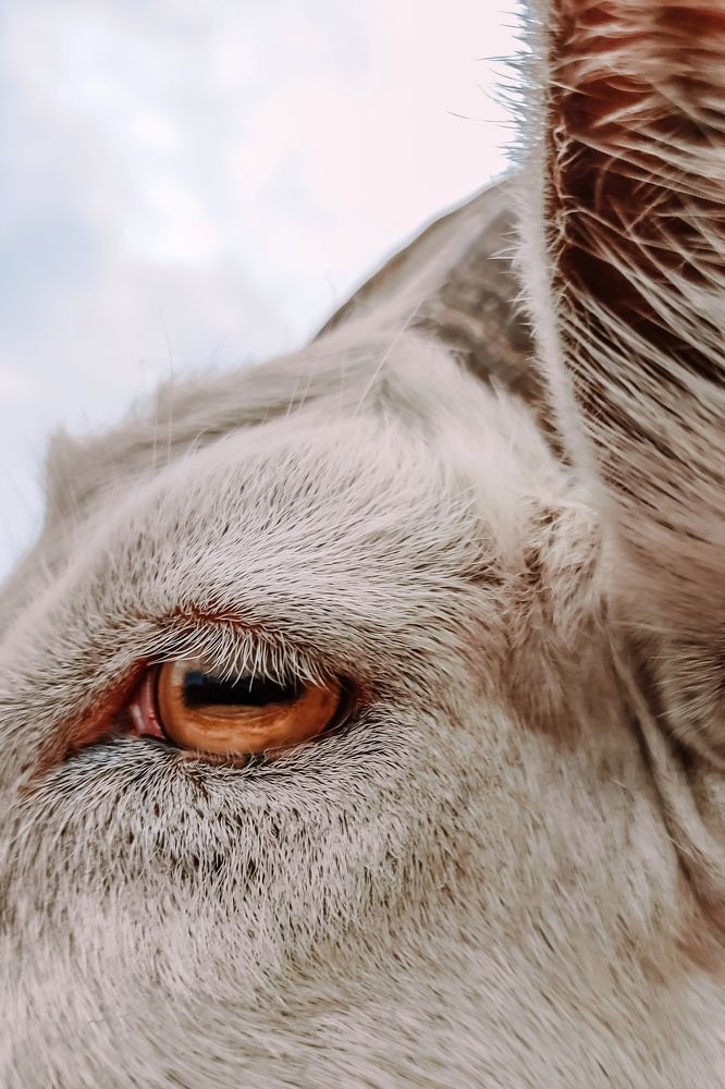 Photograph by Оксана Сандимирова