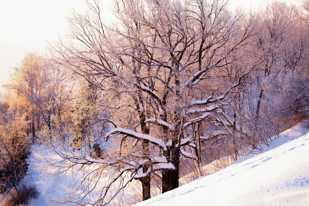 Photograph by Наталья Максимова