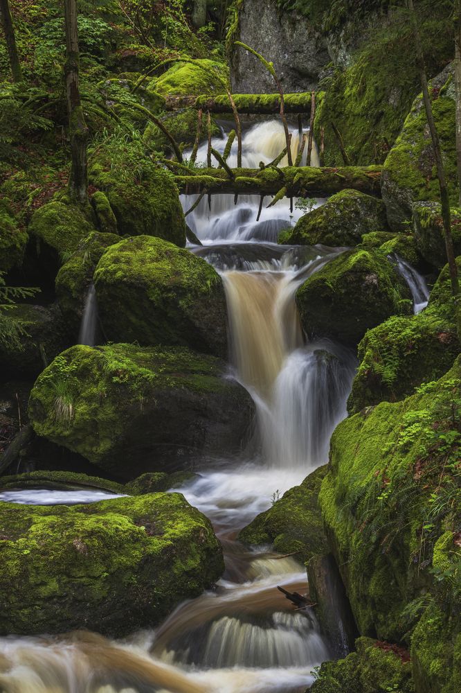 Mossy Waterfall