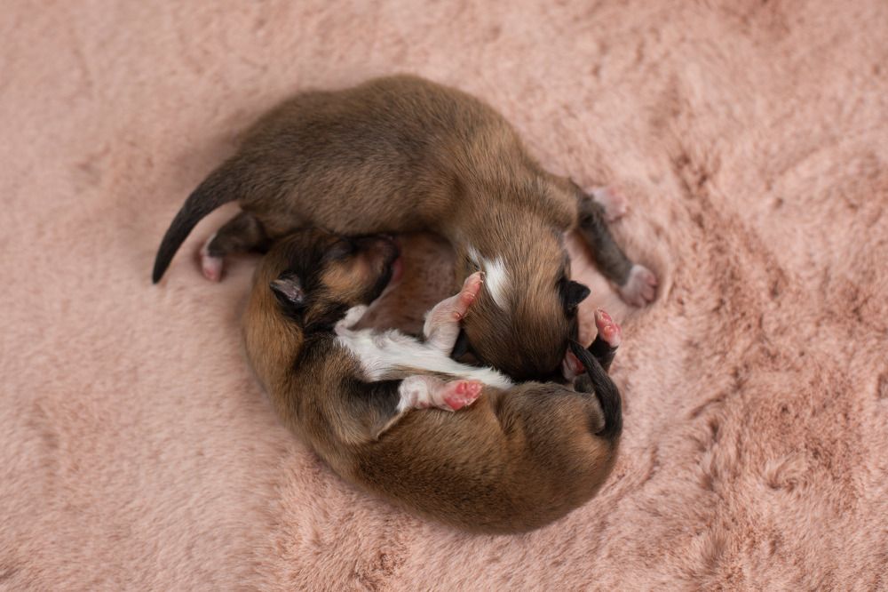 Фотография автора Татьяна Фролова