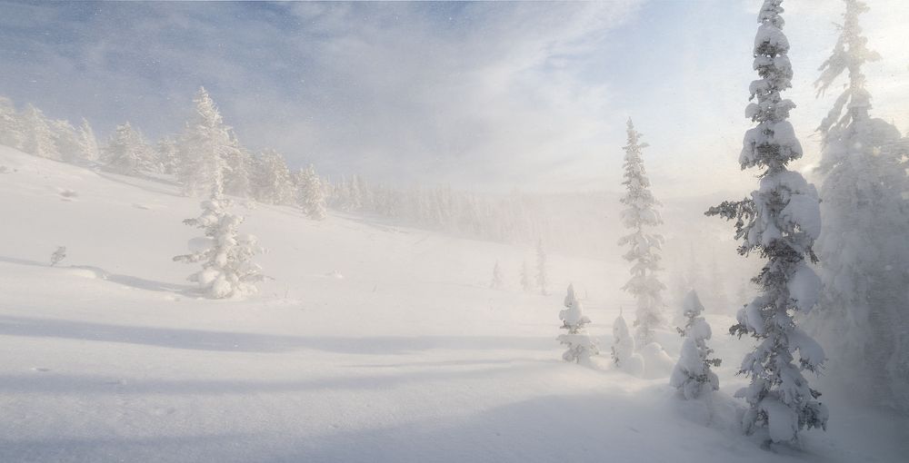 Photograph by Лещёнок Александр