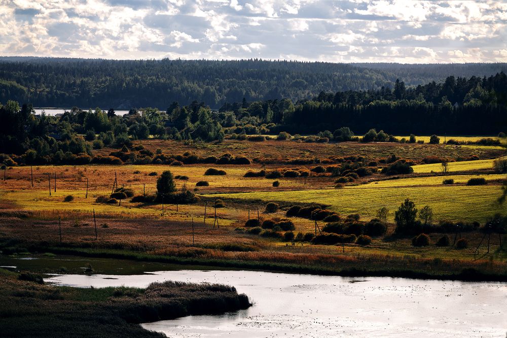 Photograph by Дмитрий Горбенко