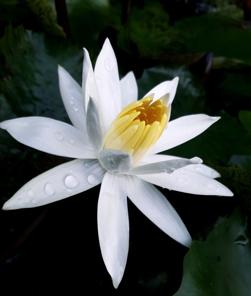 Photograph by Kalindu Ranawaka