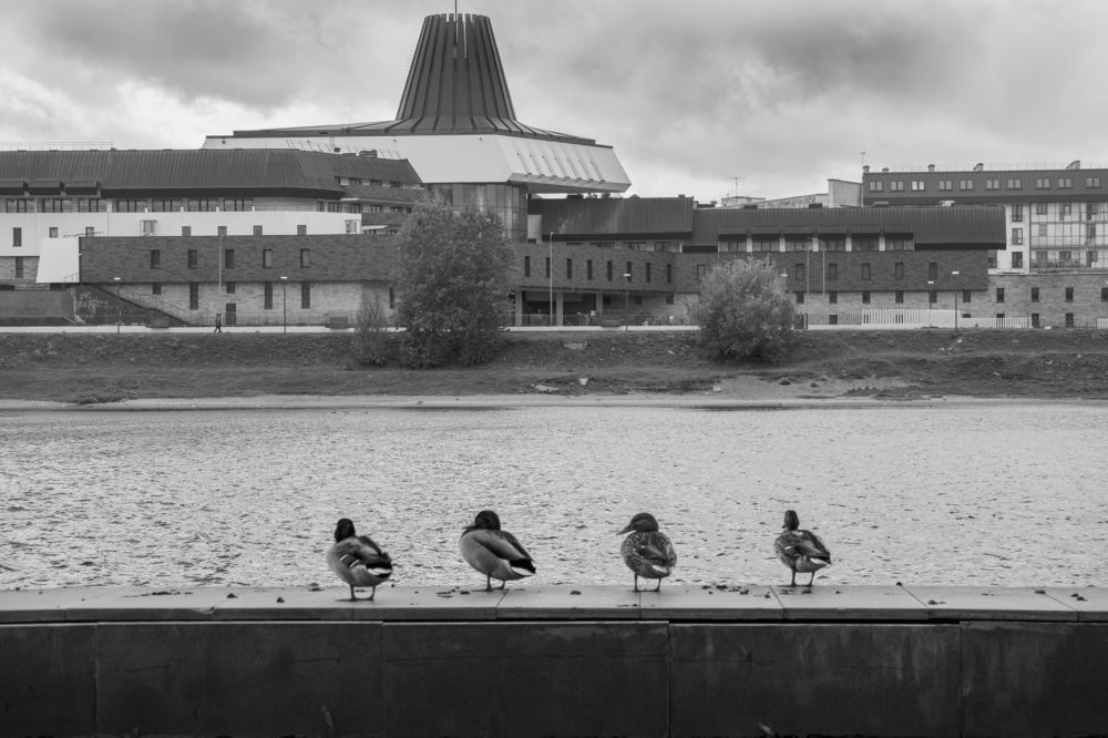 Photograph by Соловей Сергей