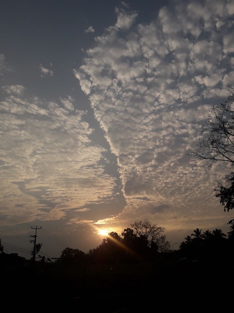 Photograph by Kalindu Ranawaka