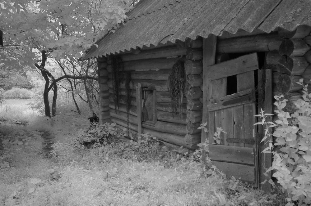 Photograph by Харис Шахмаметьев