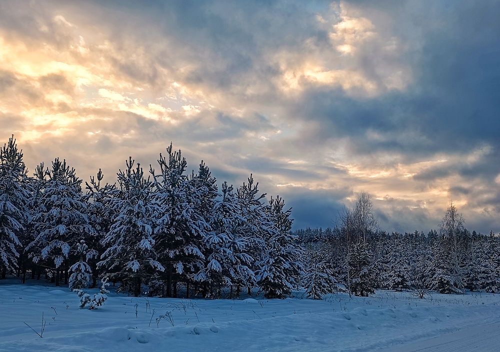 Photograph by Елена Рудкевич