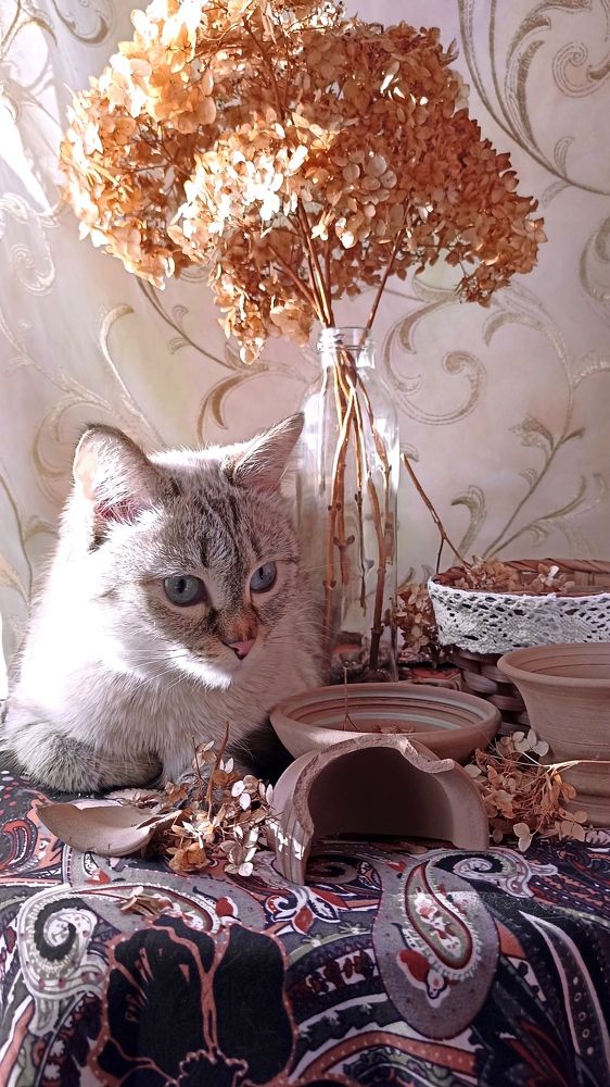 В нежных лучах солнца.