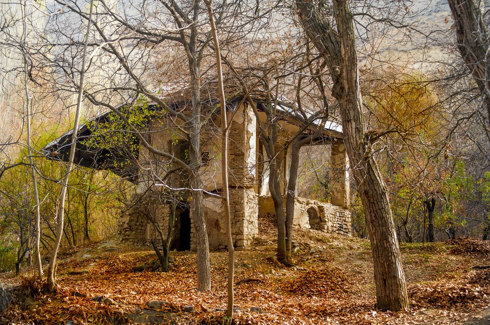 Photograph by DAMOUN POURNEMATI