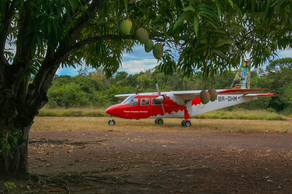 Фотография автора Анатолий