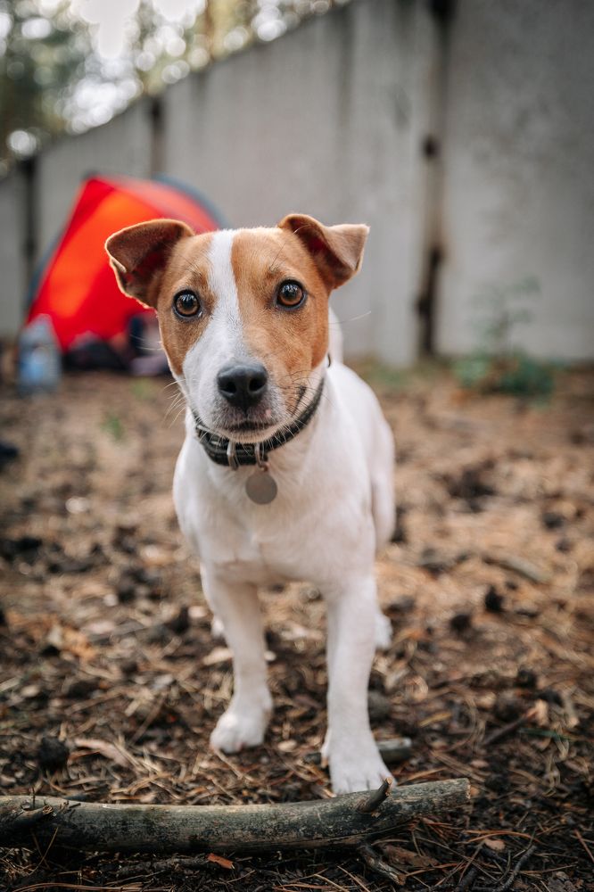 Photograph by Александр Евграфов